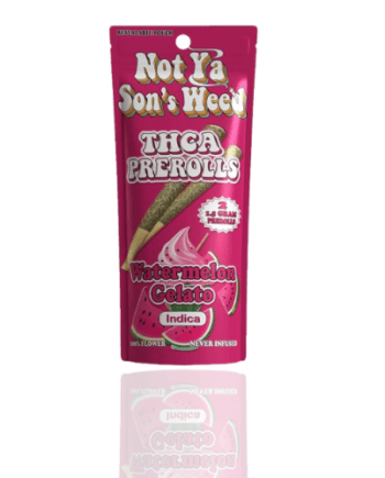 Not Ya Sons Weed THCA Pre-Rolls 2-Pack – Premium Whole Flower